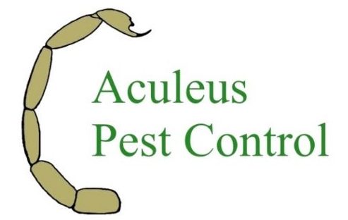 Experts Pest Control Services in Odessa TX